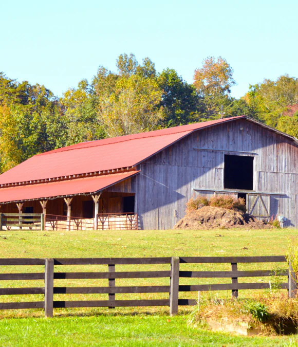 Barn & Outbuilding Design